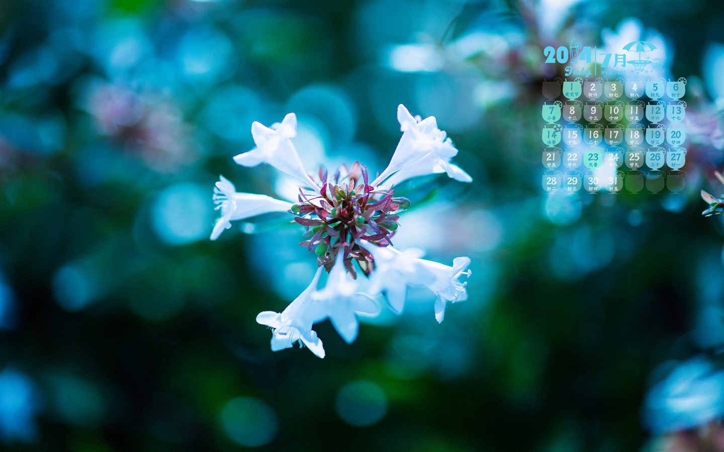 July 2014 calendar wallpaper (1) #18 - 1440x900