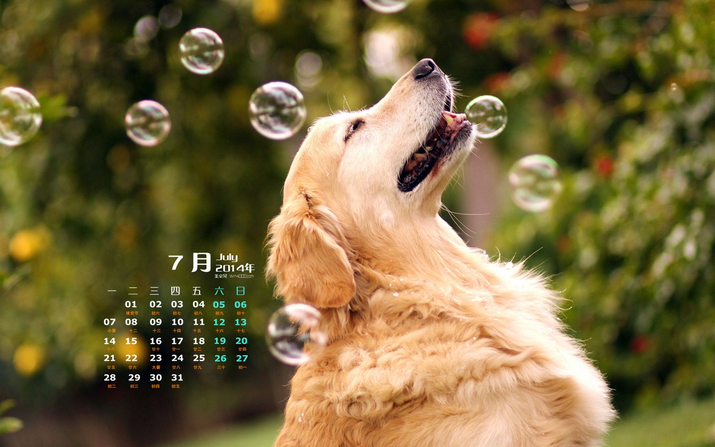 Juillet 2014 calendriers fond d'écran (2) #11 - 1440x900