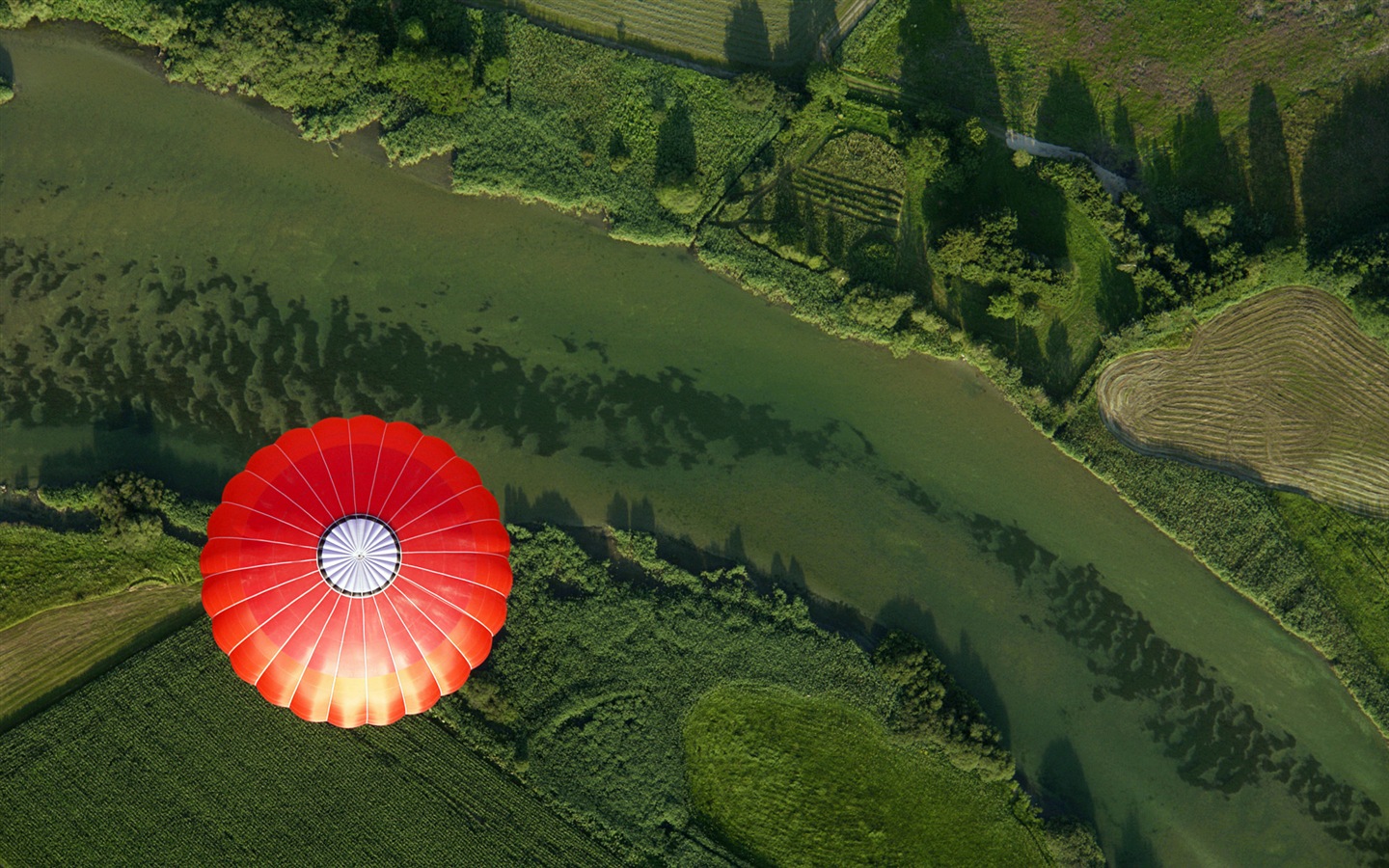 Ballon à air chaud de ciel, Windows 8 fonds d'écran thème HD #8 - 1440x900