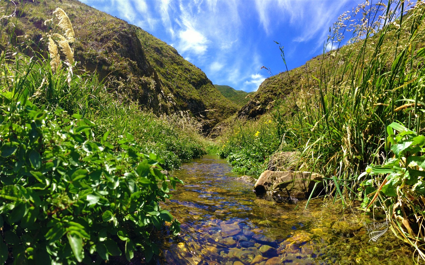 뉴질랜드의 아름다운 풍경, 윈도우 8 테마 배경 화면 #8 - 1440x900