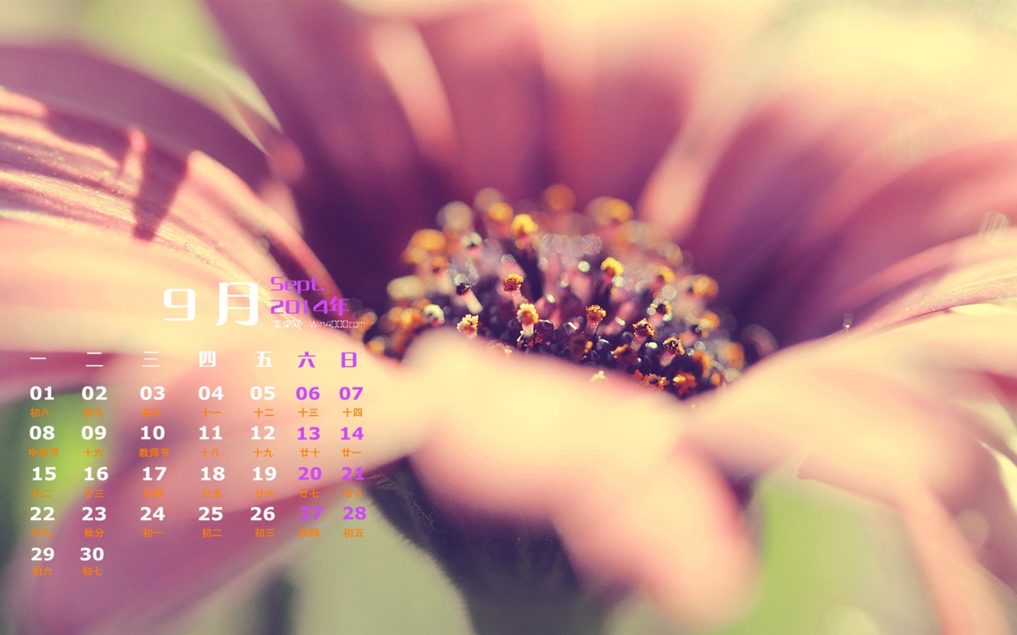 September 2014 Kalender Tapete (1) #16 - 1440x900