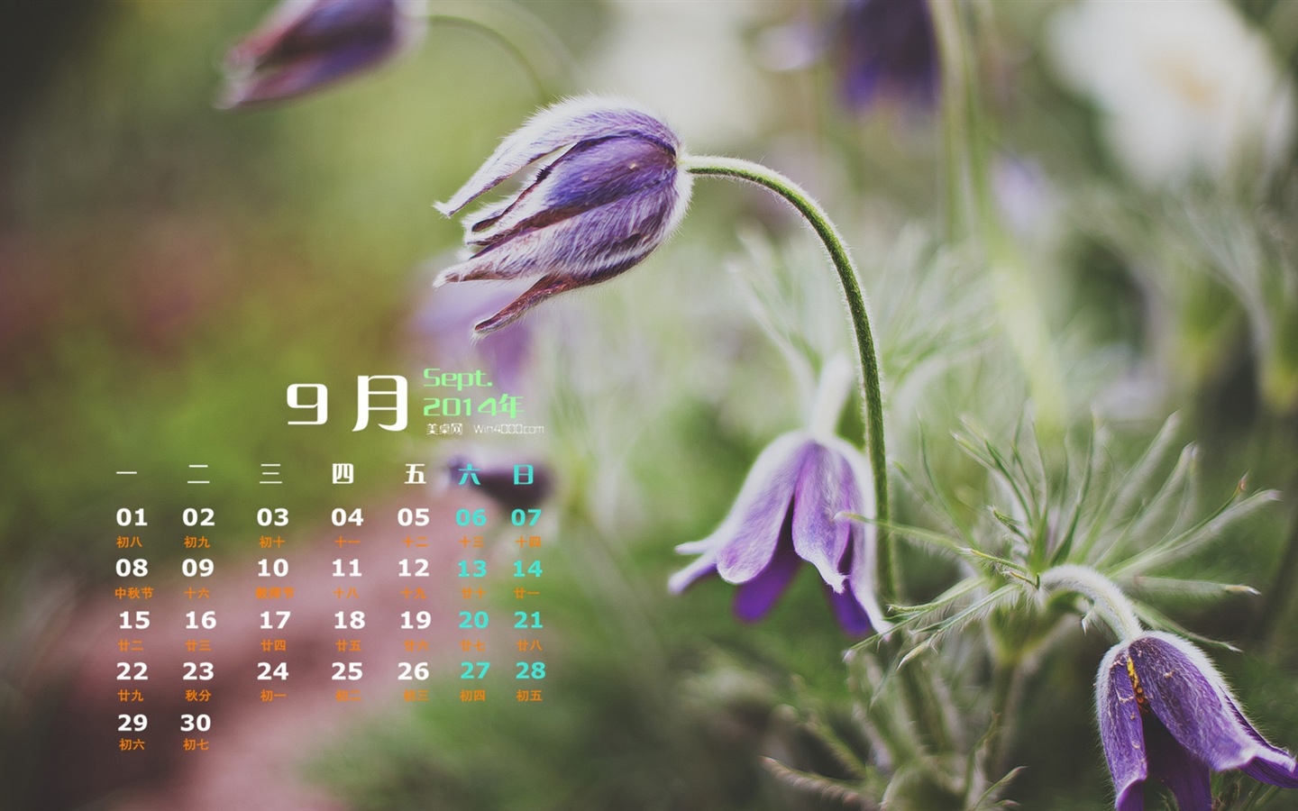 Сентябрь 2014 Календарь обои (1) #17 - 1440x900