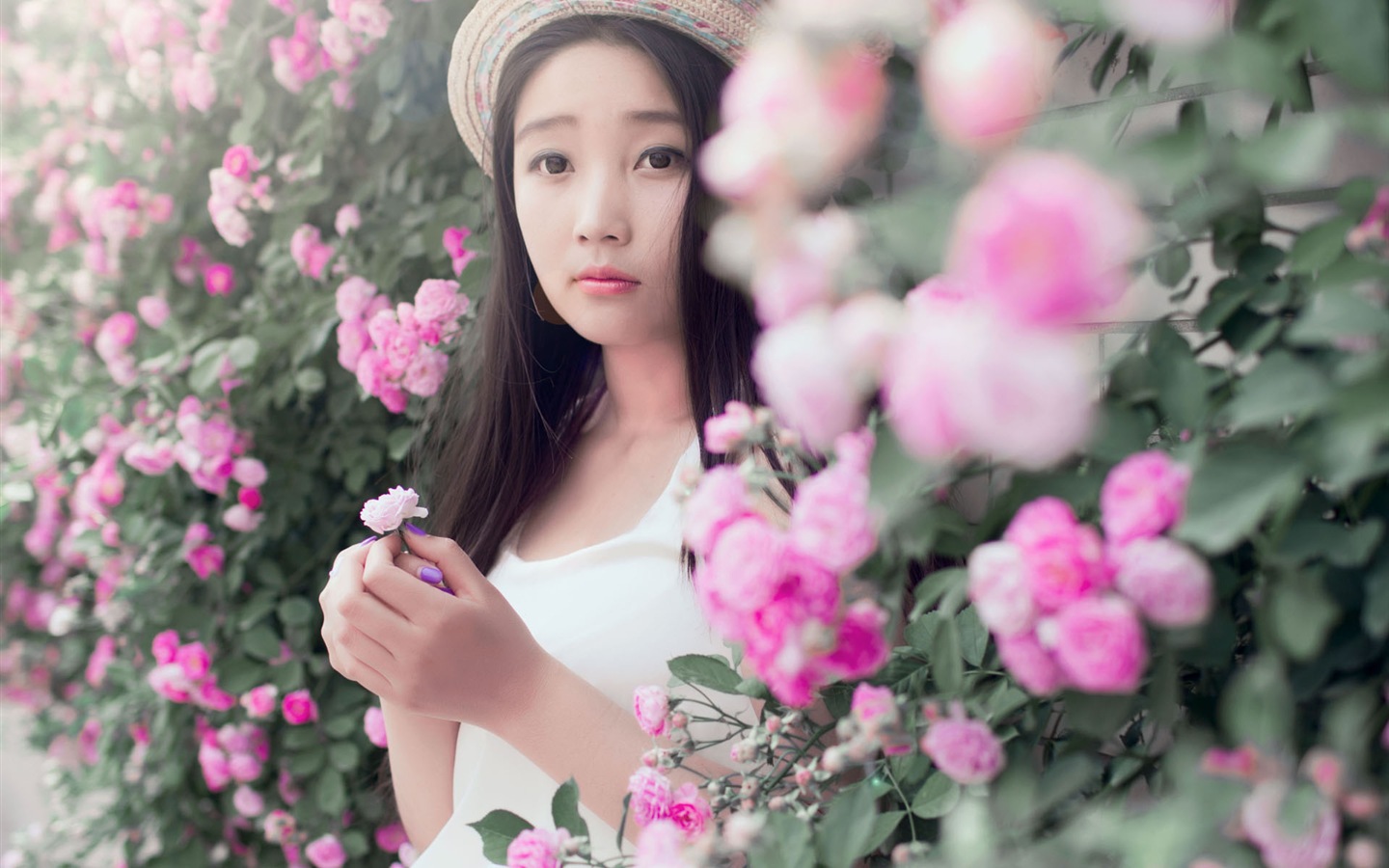 Schöne Mädchen mit Rosen Blume HD Wallpaper #1 - 1440x900