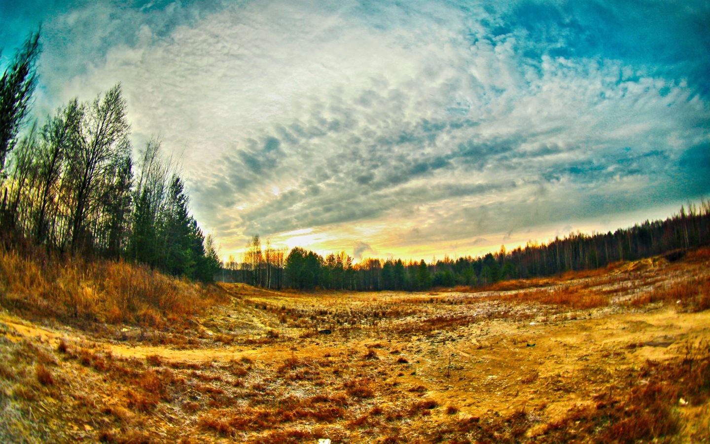 Sunshine lesní jezera krása přírody HD tapetu #8 - 1440x900