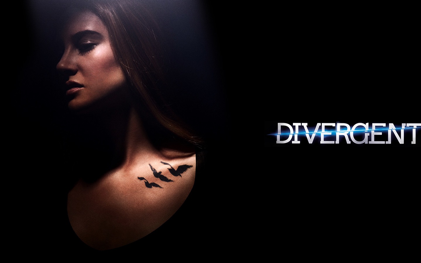 Divergent movie HD wallpapers #7 - 1440x900