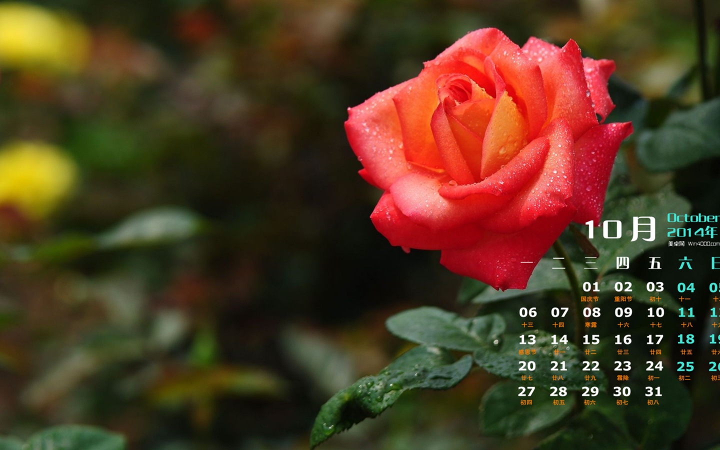 10. 2014 Kalendář tapety (1) #12 - 1440x900