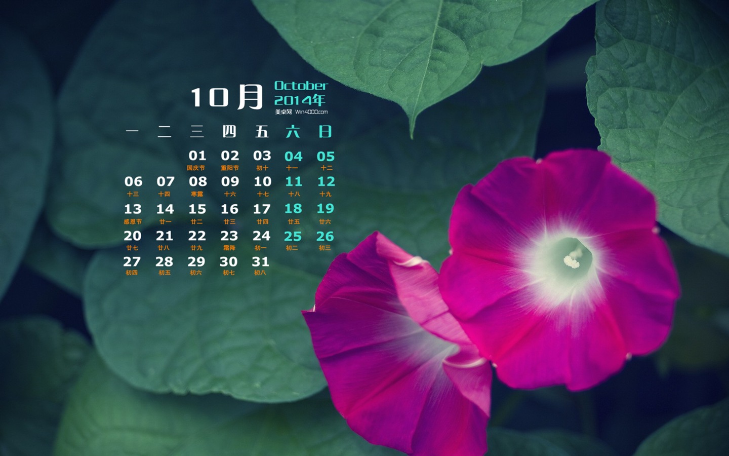 Oktober 2014 Kalender Tapete (1) #13 - 1440x900