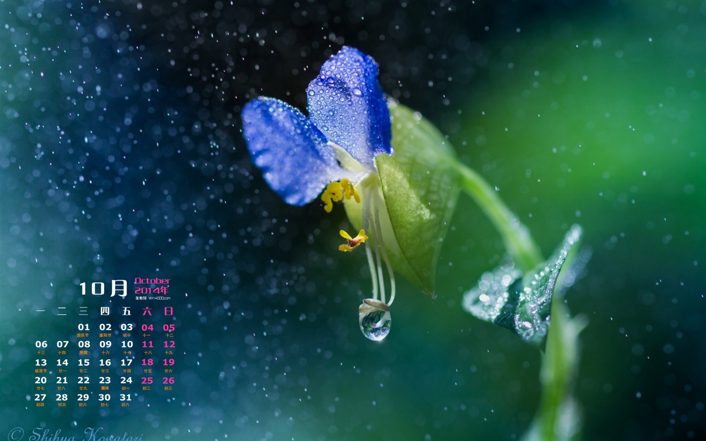 Октябрь 2014 Календарь обои (1) #17 - 1440x900
