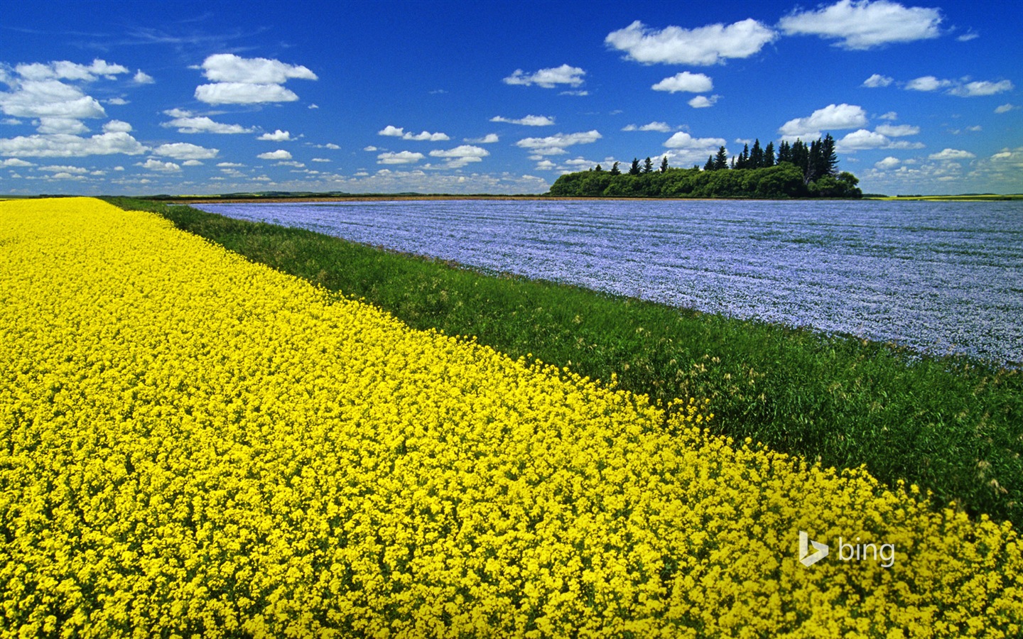 Oktober 2014 Bing Landschaft HD Wallpaper #20 - 1440x900