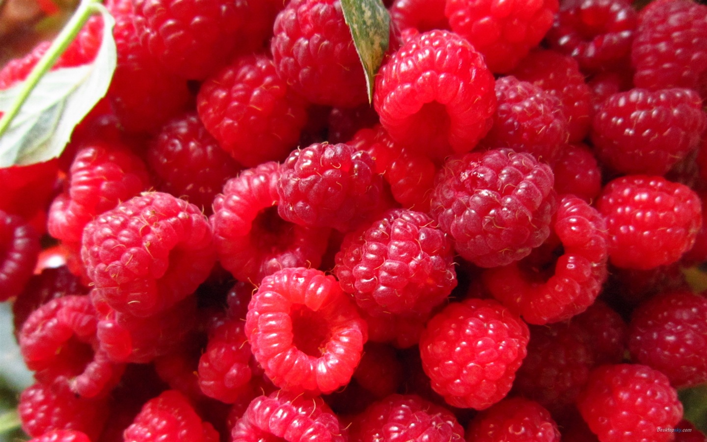 달콤한 빨간 딸기의 HD 월페이퍼 #4 - 1440x900