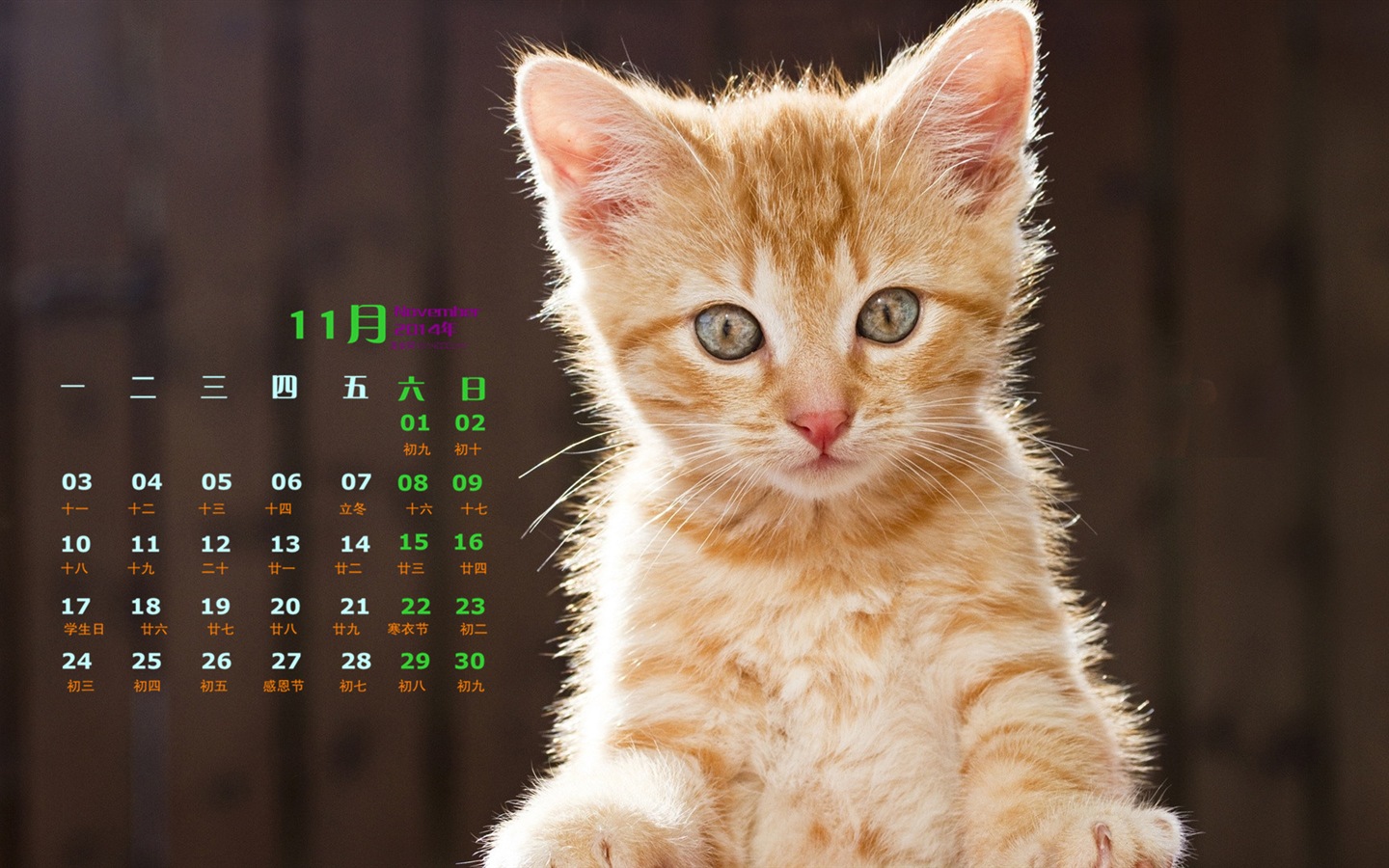 November 2014 Kalender Tapete (1) #5 - 1440x900
