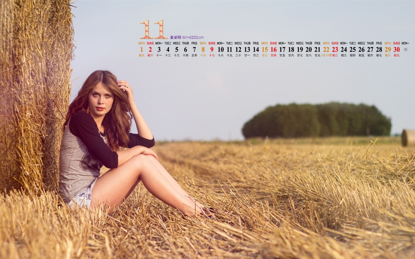 Ноябрь 2014 Календарь обои (1) #15 - 1440x900