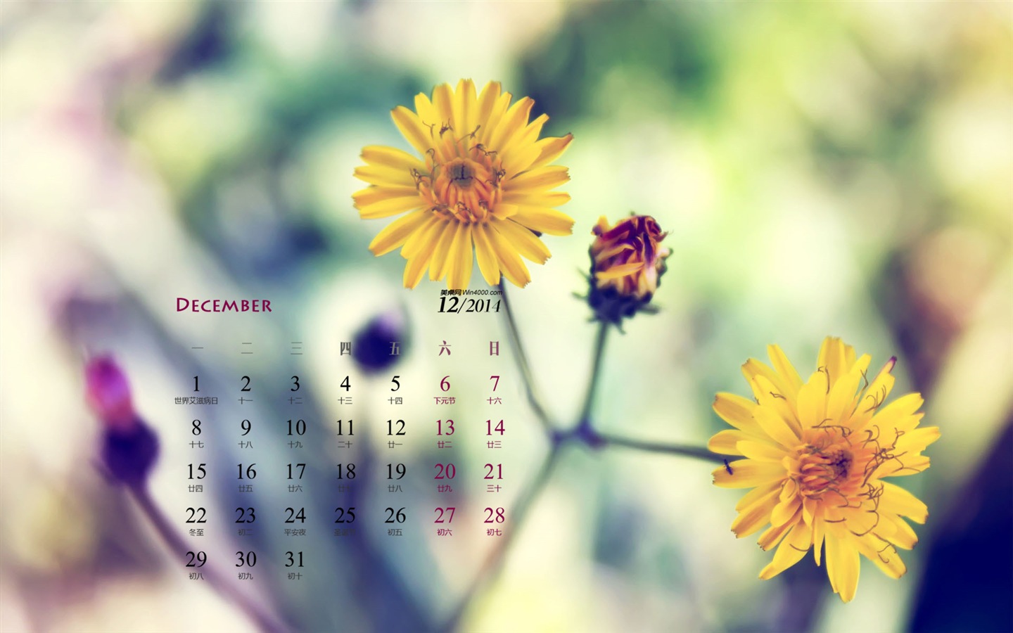 Декабрь 2014 Календарь обои (1) #10 - 1440x900