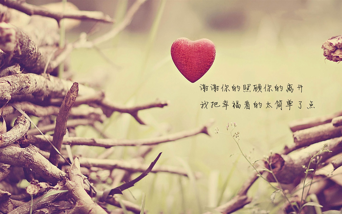 Тема любви, творческих HD обои форме сердца #7 - 1440x900