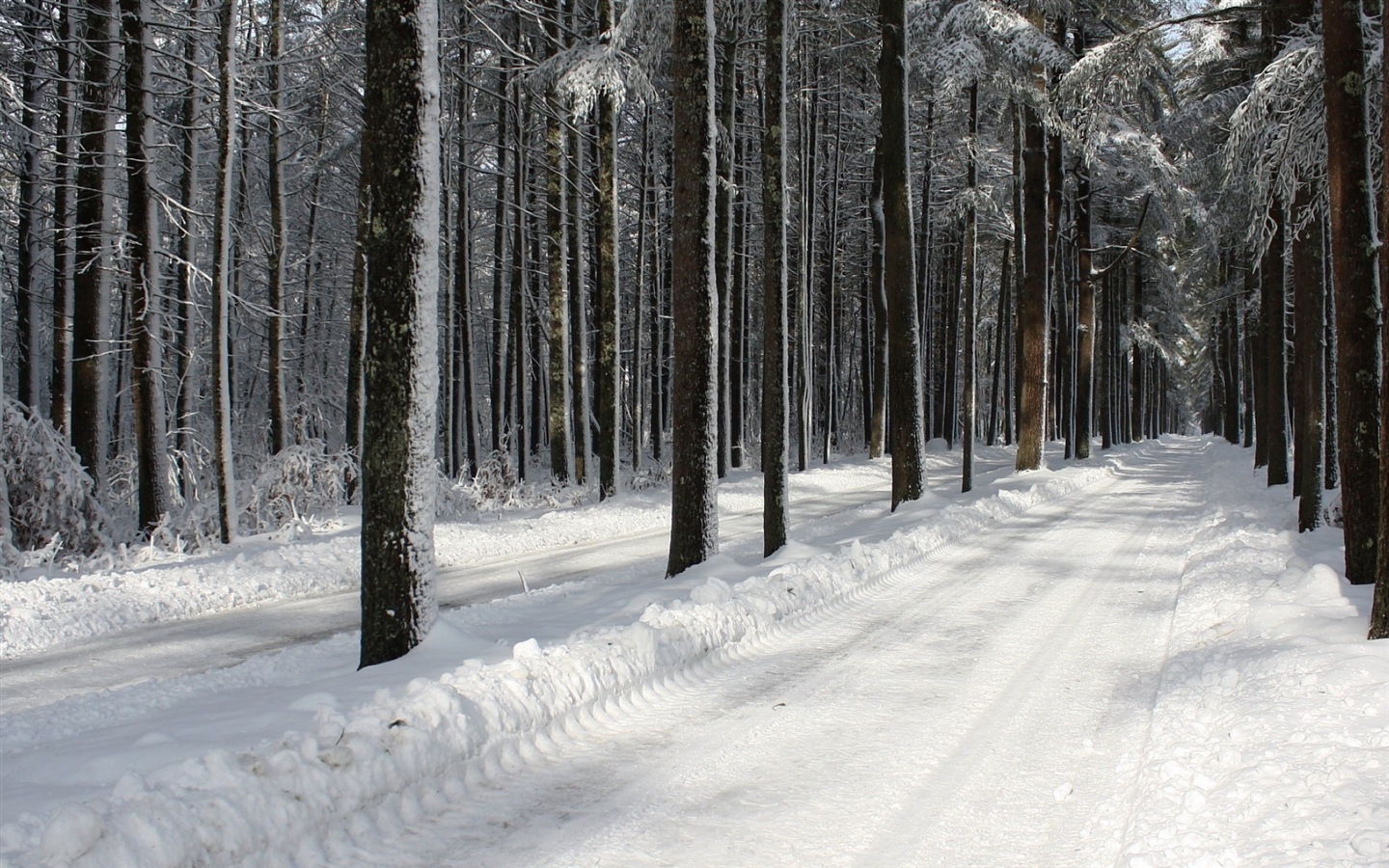 冬、雪、山、湖、木、道路のHDの壁紙 #3 - 1440x900