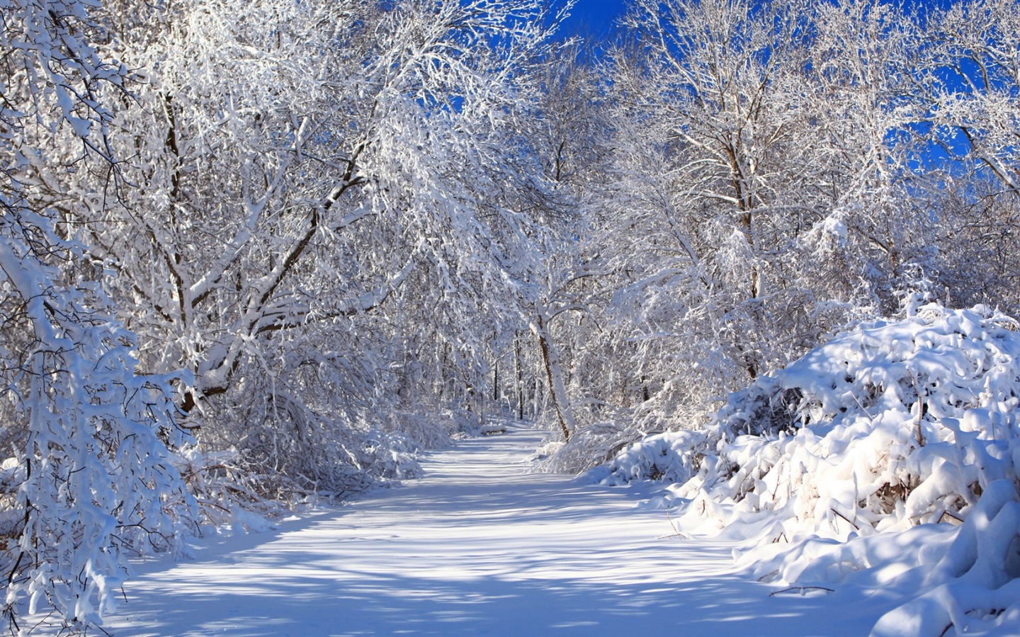 冬天的雪景，山，湖，树木，道路 高清壁纸5 - 1440x900