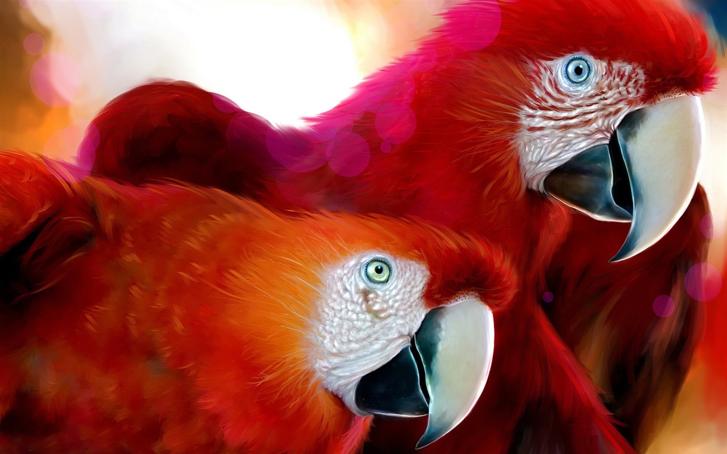 Macaw close-up fonds d'écran HD #28 - 1440x900