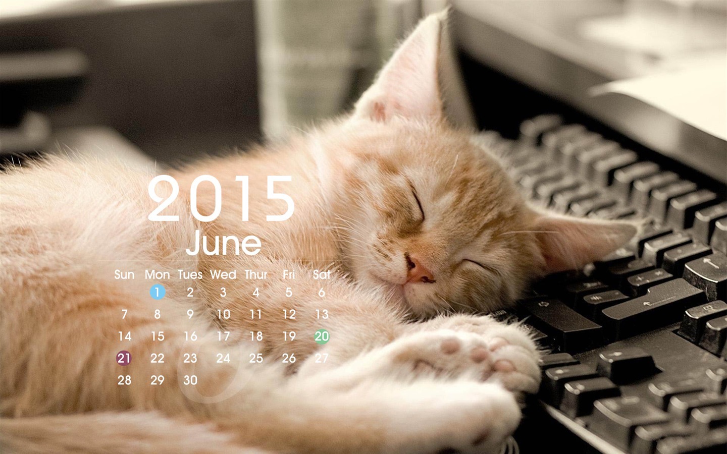 Calendario 2015 fondos de pantalla de alta definición #19 - 1440x900