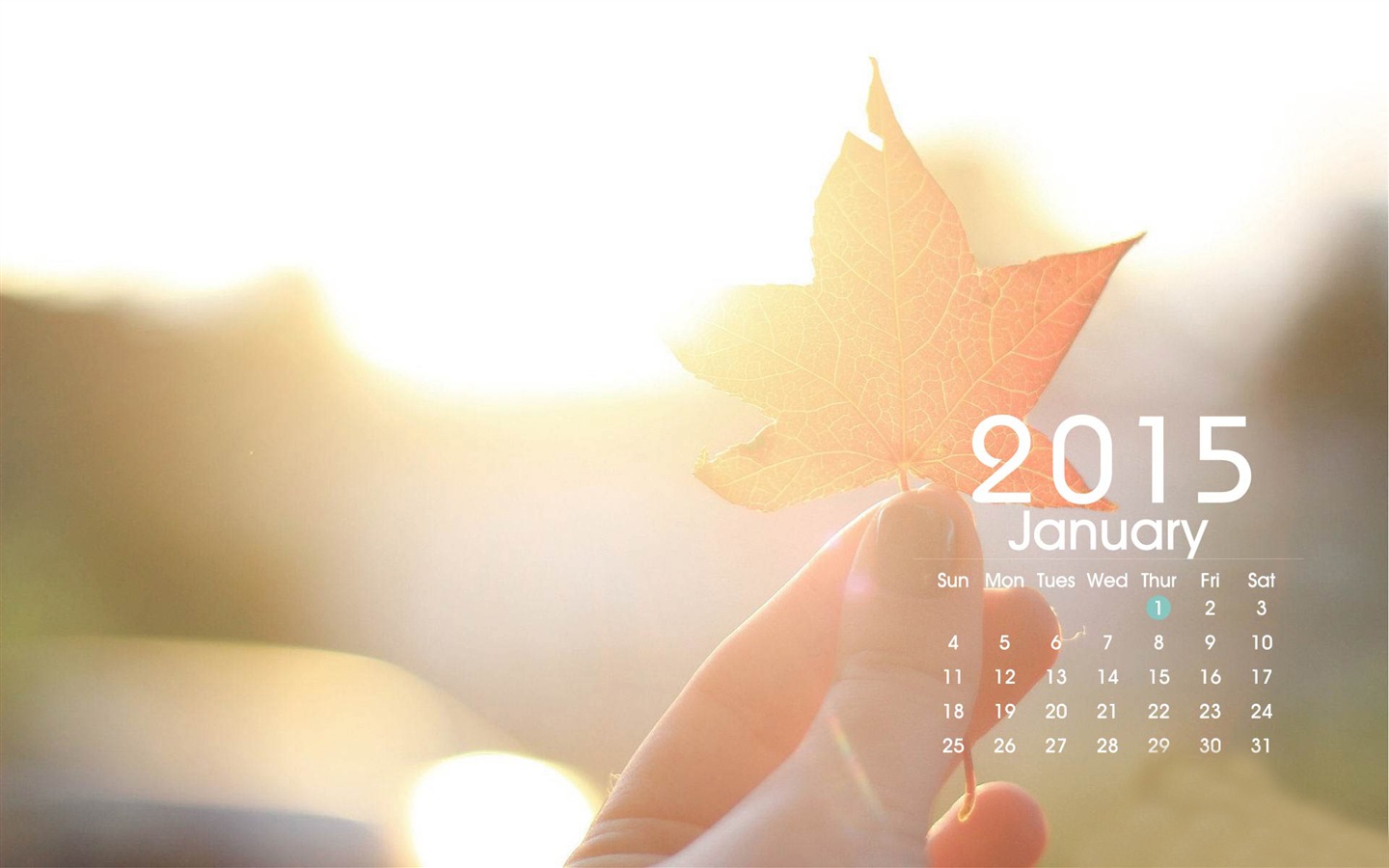 Kalendář 2015 HD tapety na plochu #23 - 1440x900