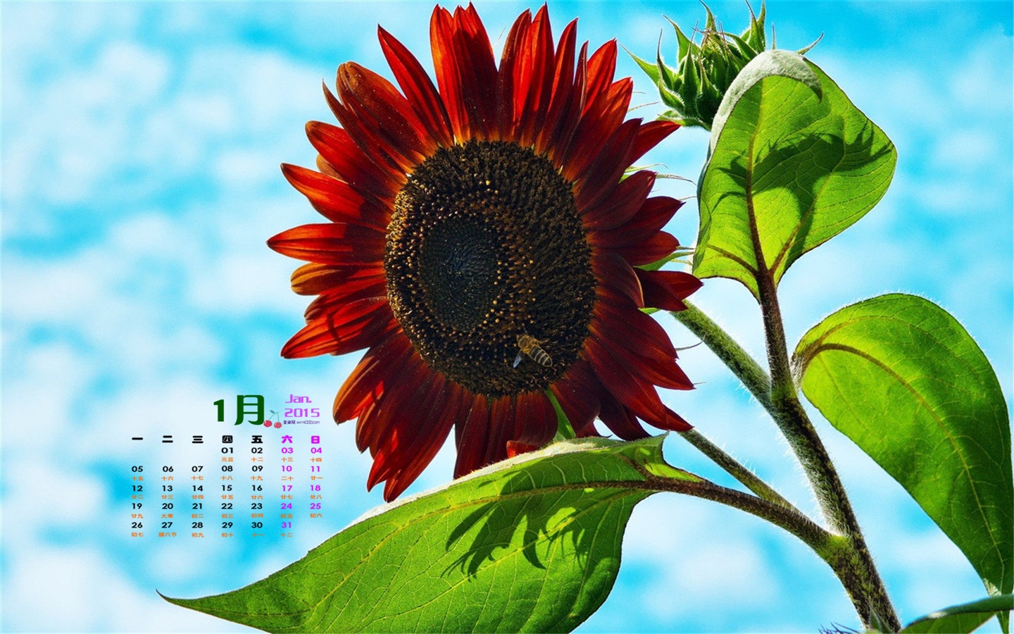 01 2015 fondos de escritorio calendario (1) #14 - 1440x900