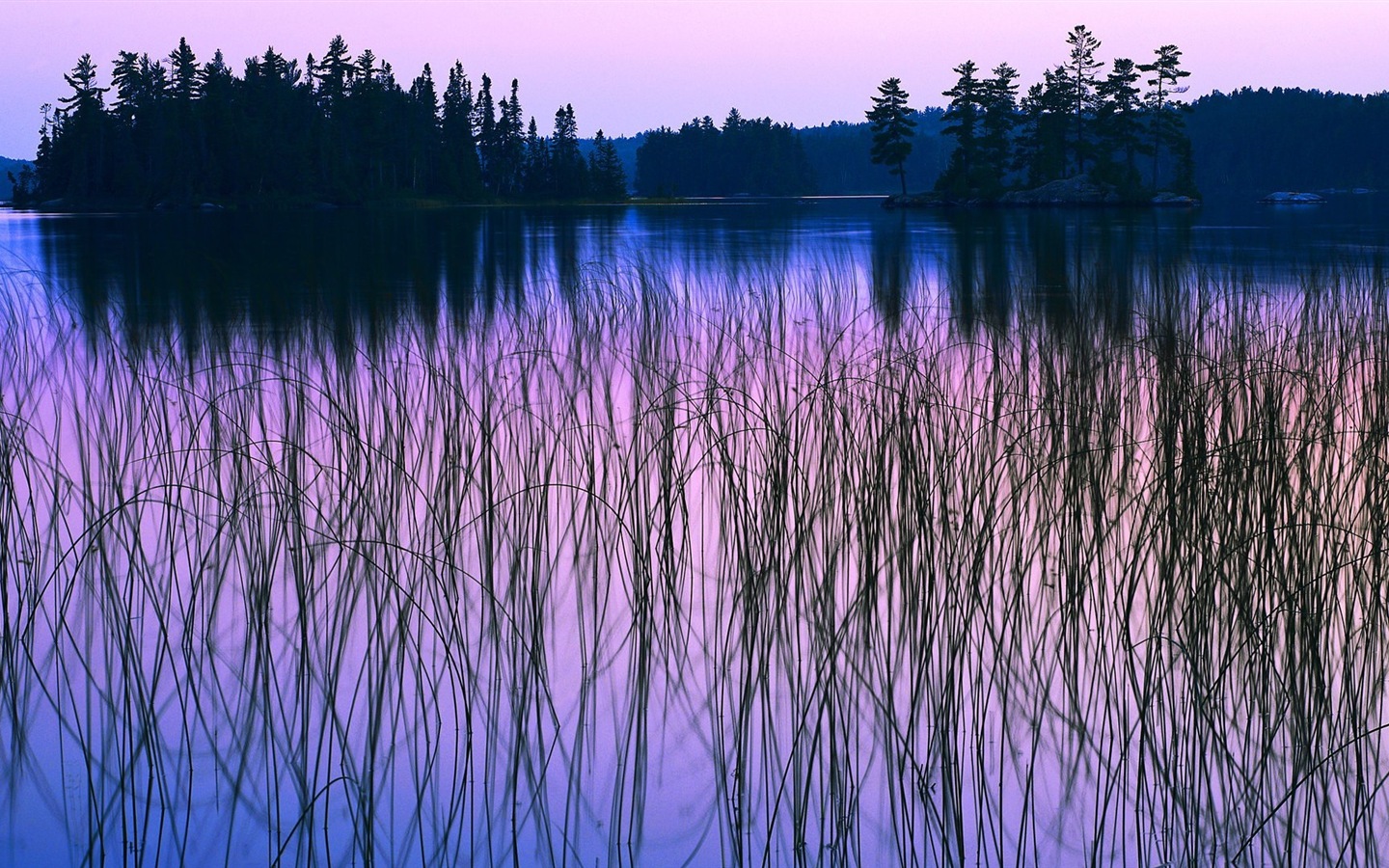 Krásné barvy přírody HD tapet #1 - 1440x900