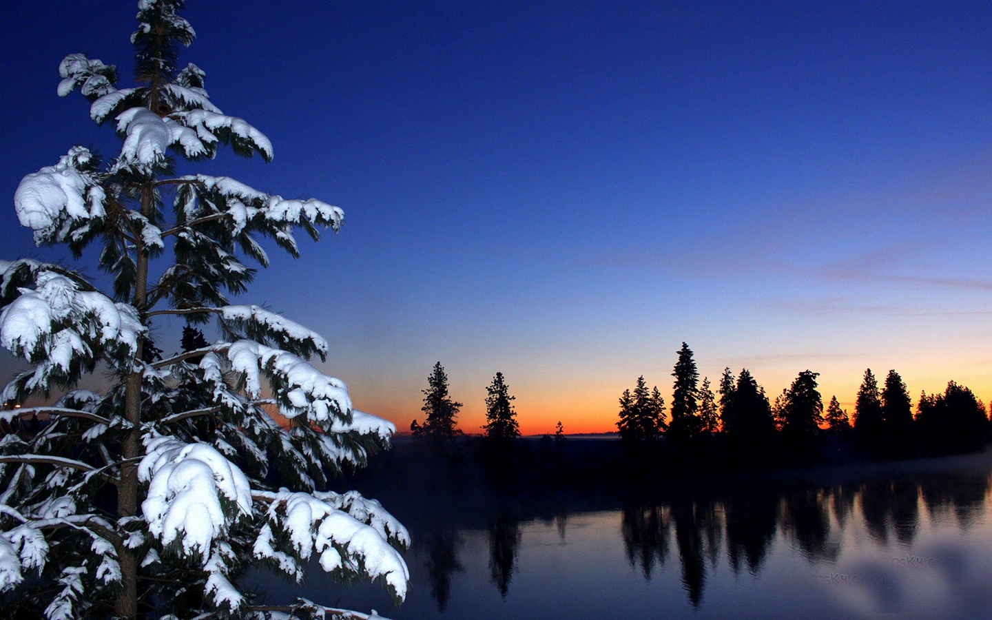 冬の雪の美しい風景のHDの壁紙 #10 - 1440x900