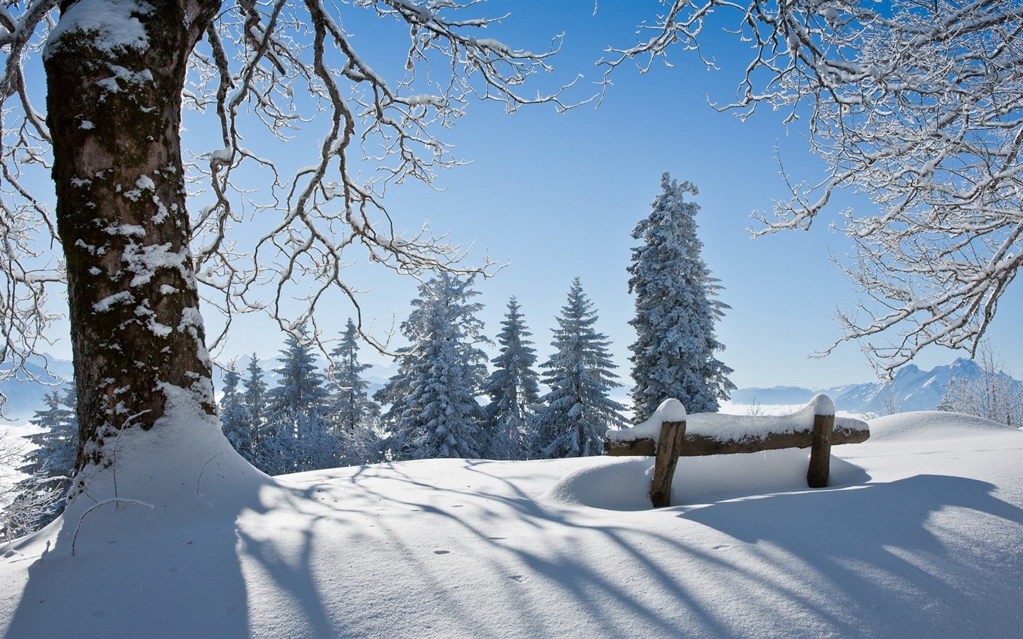 冬の雪の美しい風景のHDの壁紙 #13 - 1440x900