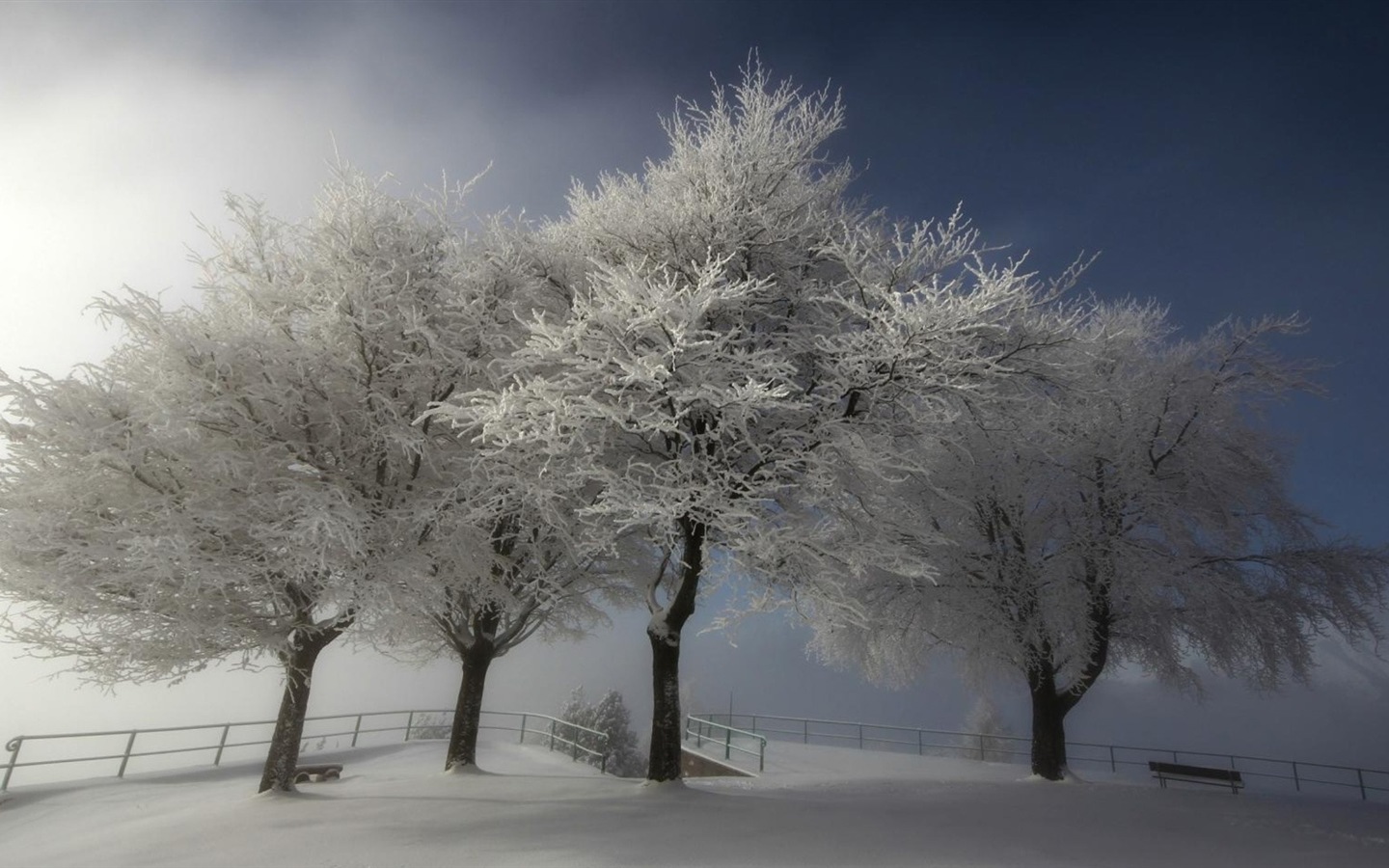 冬の雪の美しい風景のHDの壁紙 #18 - 1440x900