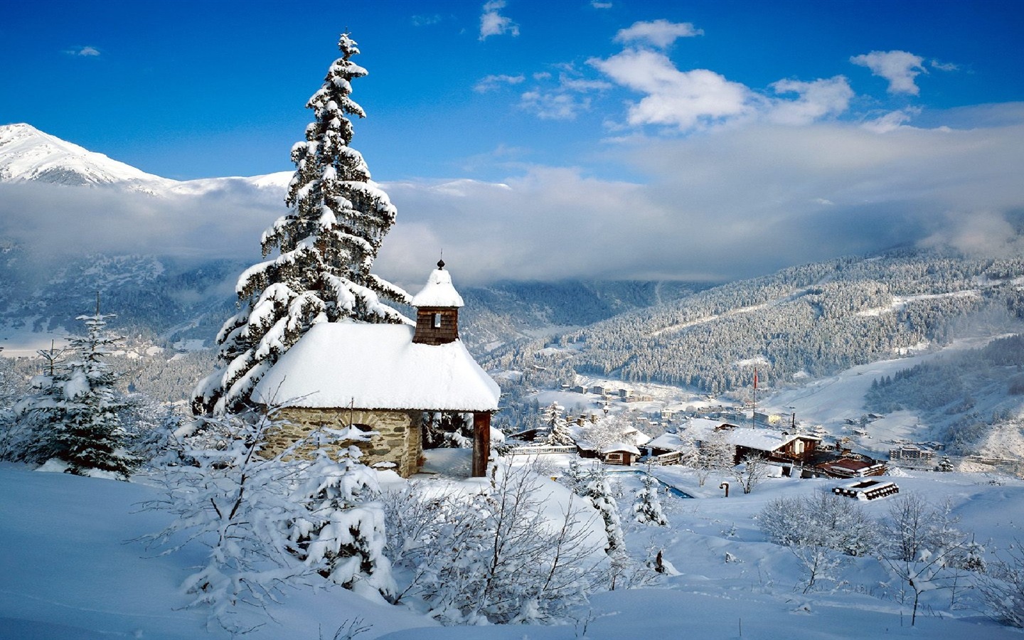 冬の雪の美しい風景のHDの壁紙 #20 - 1440x900
