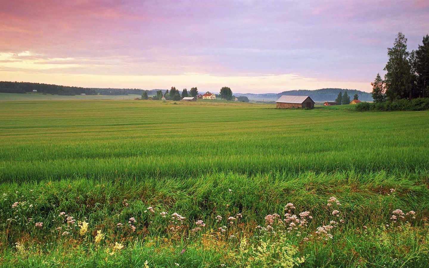 Nordic krásné přírodní scenérie HD tapety na plochu #10 - 1440x900