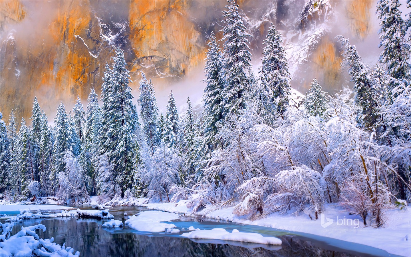 Januar 2015 Bing HD Wallpaper #1 - 1440x900