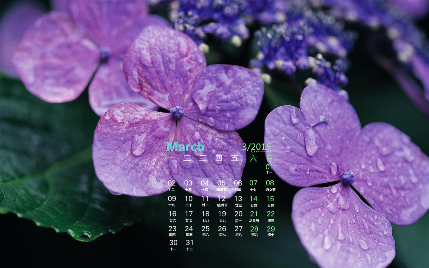 Март 2015 Календарь обои (1) #5 - 1440x900