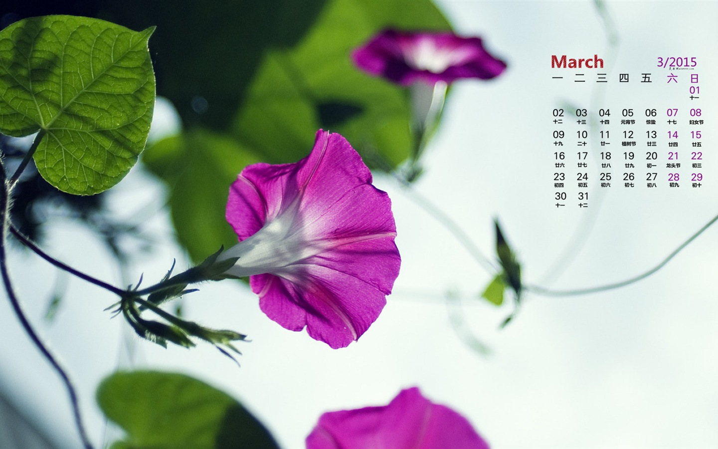 Март 2015 Календарь обои (1) #14 - 1440x900