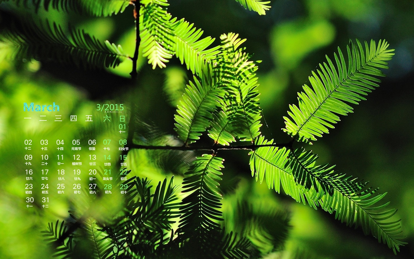 März 2015 Kalender Tapete (1) #18 - 1440x900