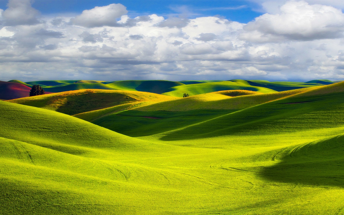 Hermoso color, fondos de pantalla de alta definición paisajes naturales #9 - 1440x900
