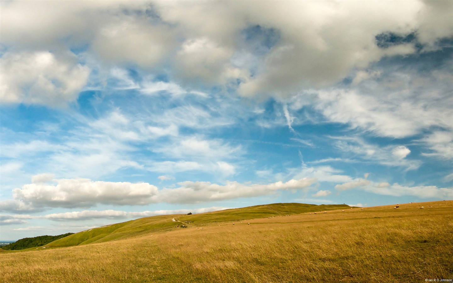 田园风景，Windows 8 高清壁纸5 - 1440x900