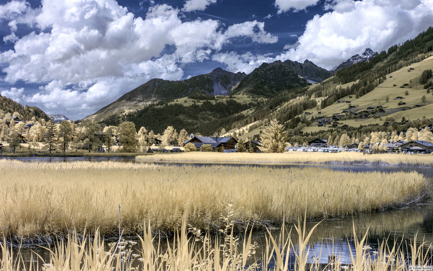 농촌 풍경, 윈도우 8의 HD 배경 화면 #7 - 1440x900
