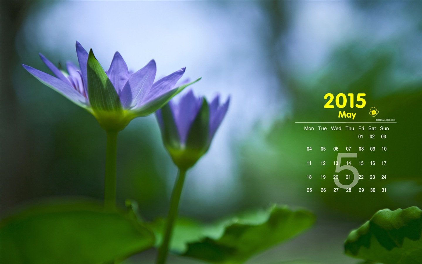 Май 2015 календарный обои (1) #1 - 1440x900