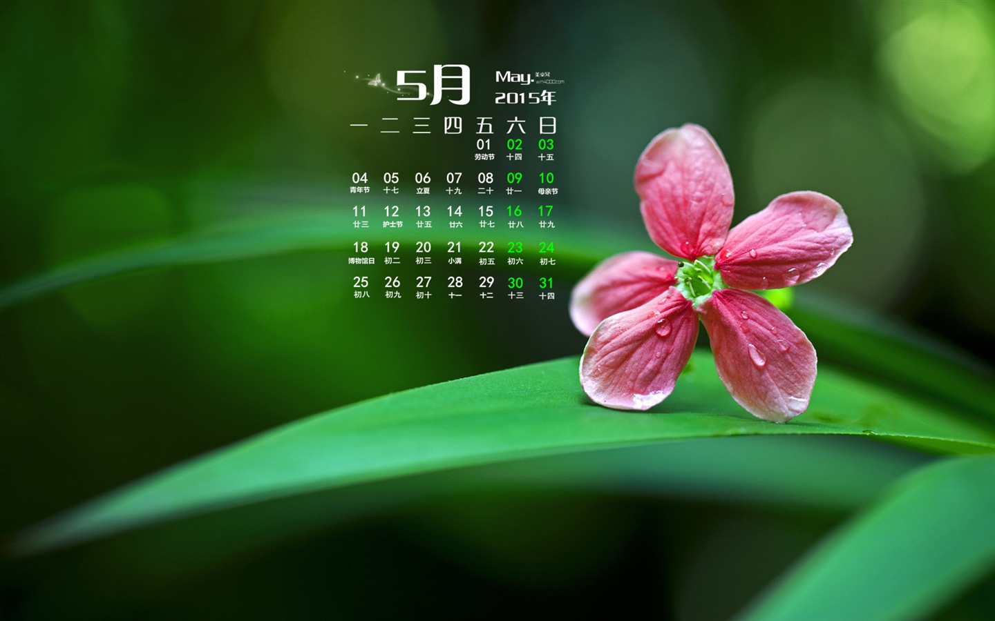Mai 2015 calendar fond d'écran (1) #8 - 1440x900