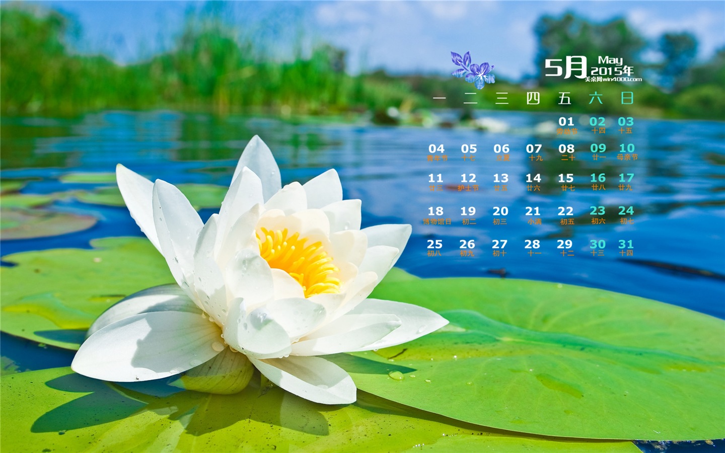 Май 2015 календарный обои (2) #4 - 1440x900