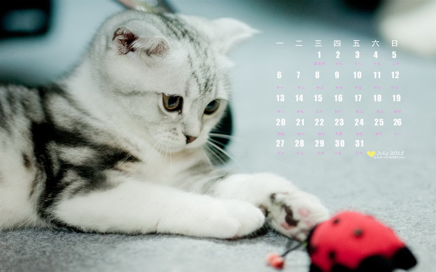 Juillet 2015 papier peint de calendrier (1) #11 - 1440x900