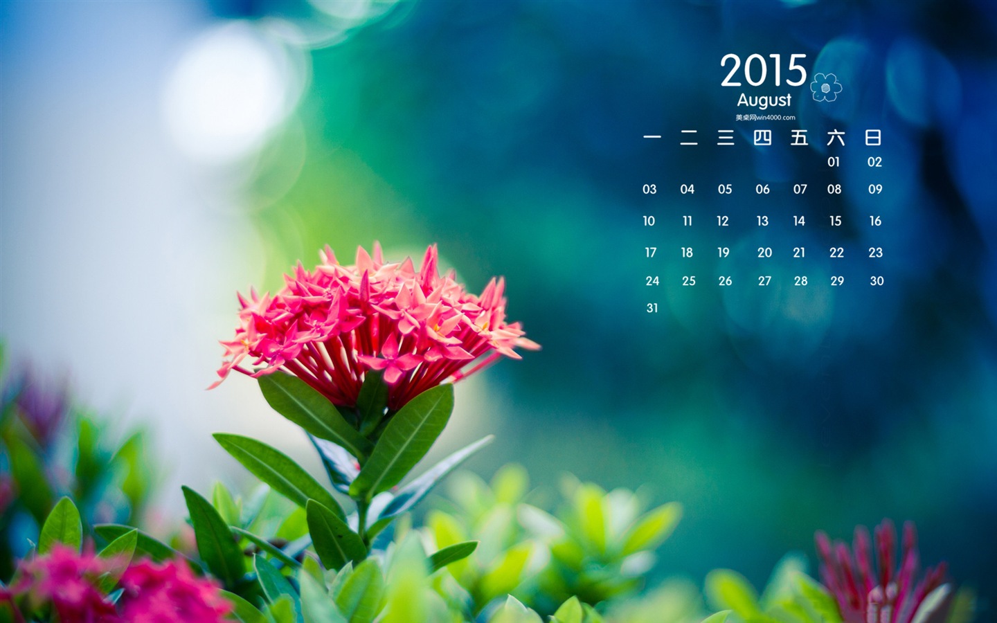 08. 2015 kalendář tapety (1) #12 - 1440x900