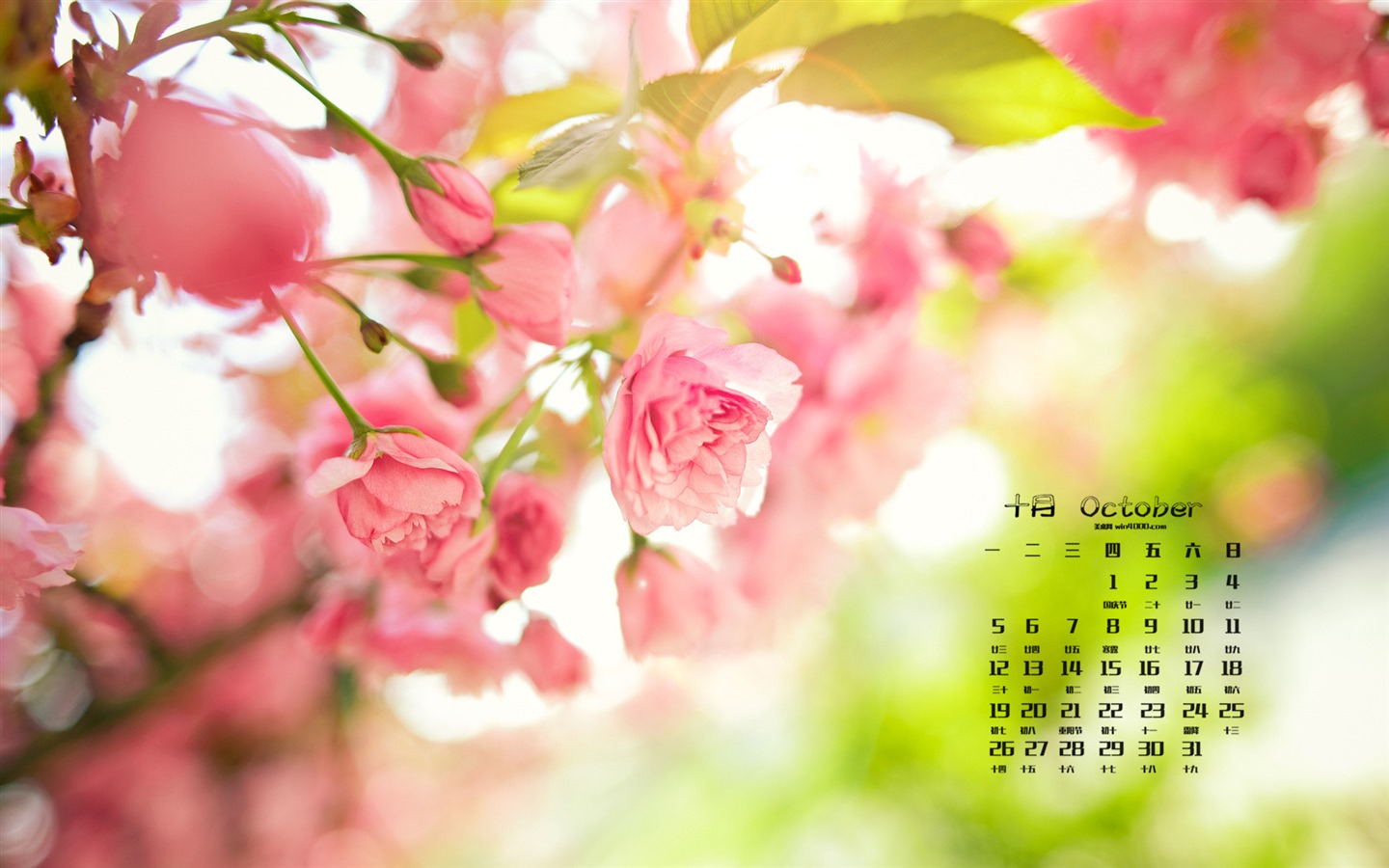 Října 2015 kalendář tapety (1) #9 - 1440x900