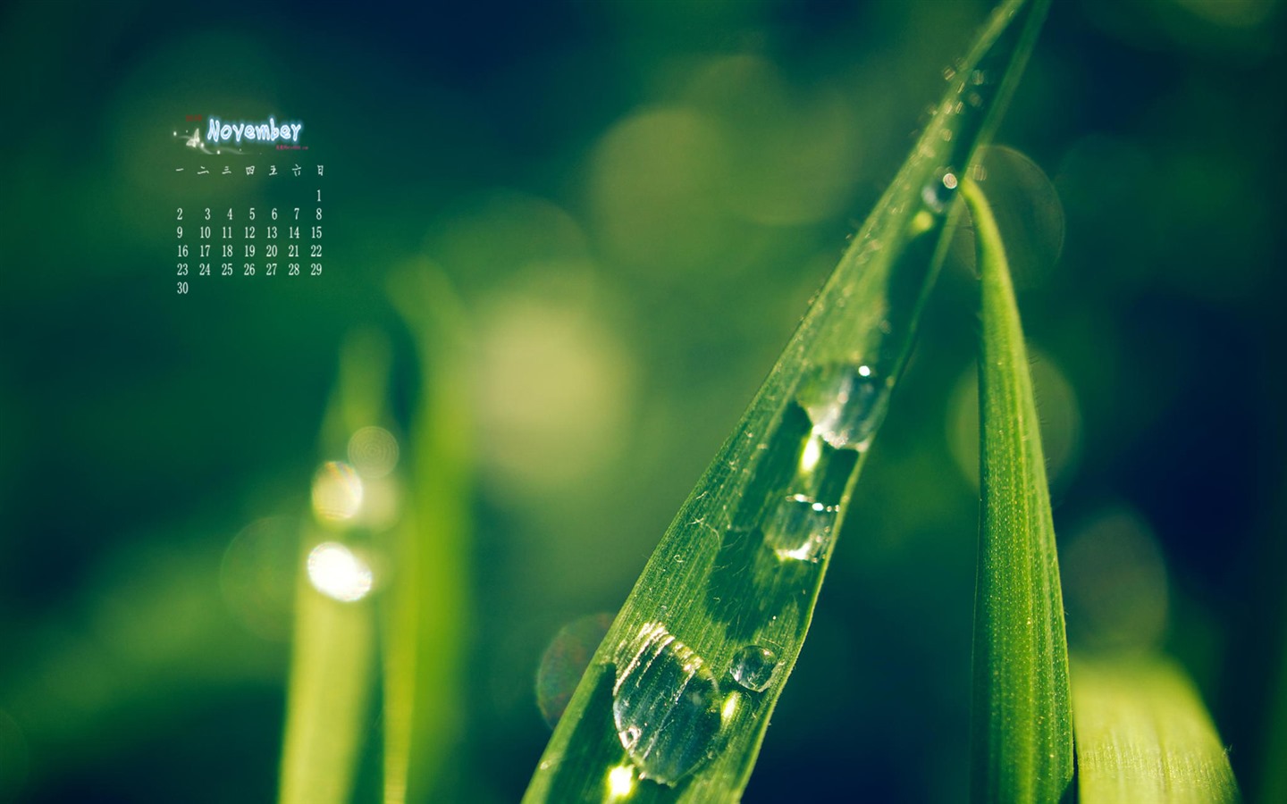 Ноябрь 2015 Календарь обои (1) #5 - 1440x900