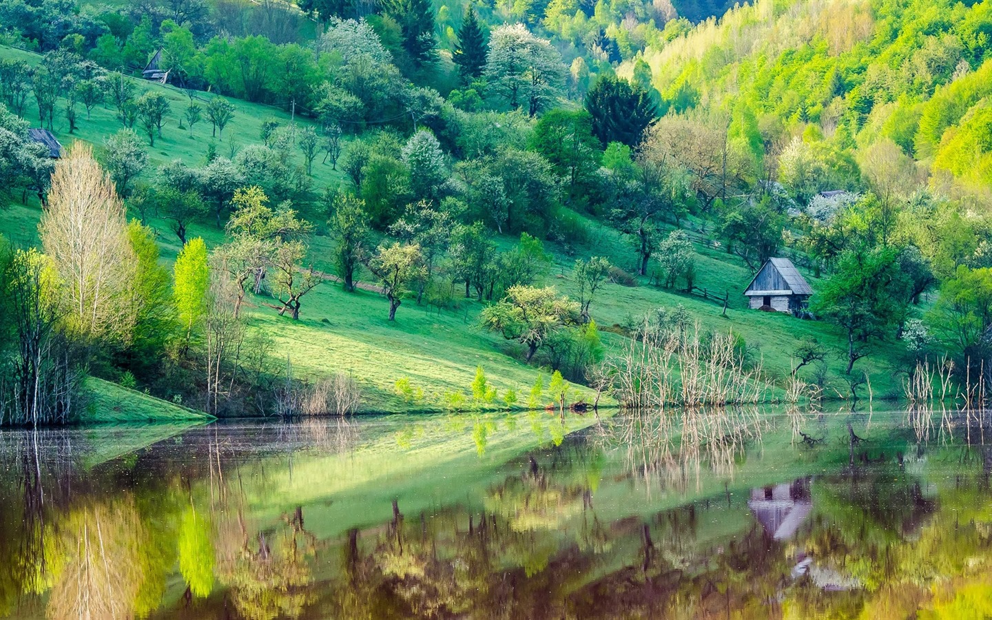 나무, 산, 물, 일출과 일몰, 자연 풍경의 HD 배경 화면 #24 - 1440x900