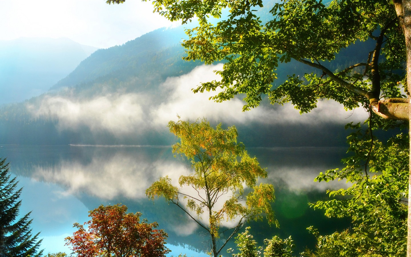 Stromy, hory, voda, východu a západu slunce, přírodní scenérie HD tapety #40 - 1440x900