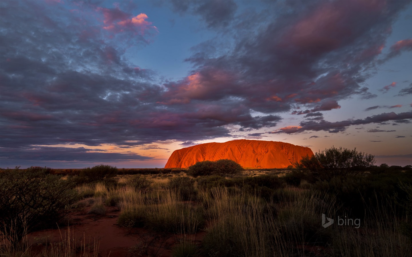 January 2016 Bing theme HD wallpapers #25 - 1440x900