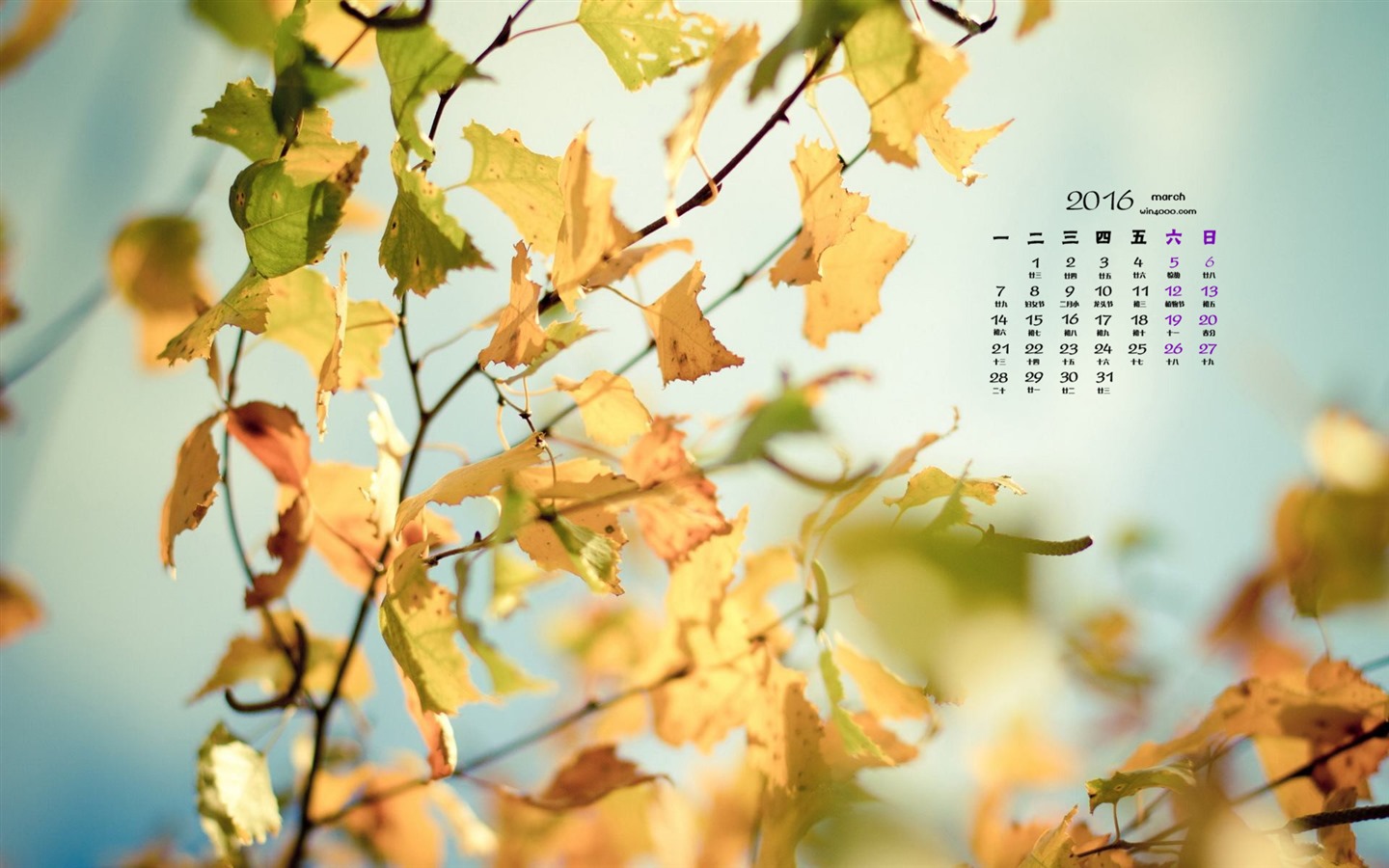 Března 2016 kalendář tapety (1) #6 - 1440x900