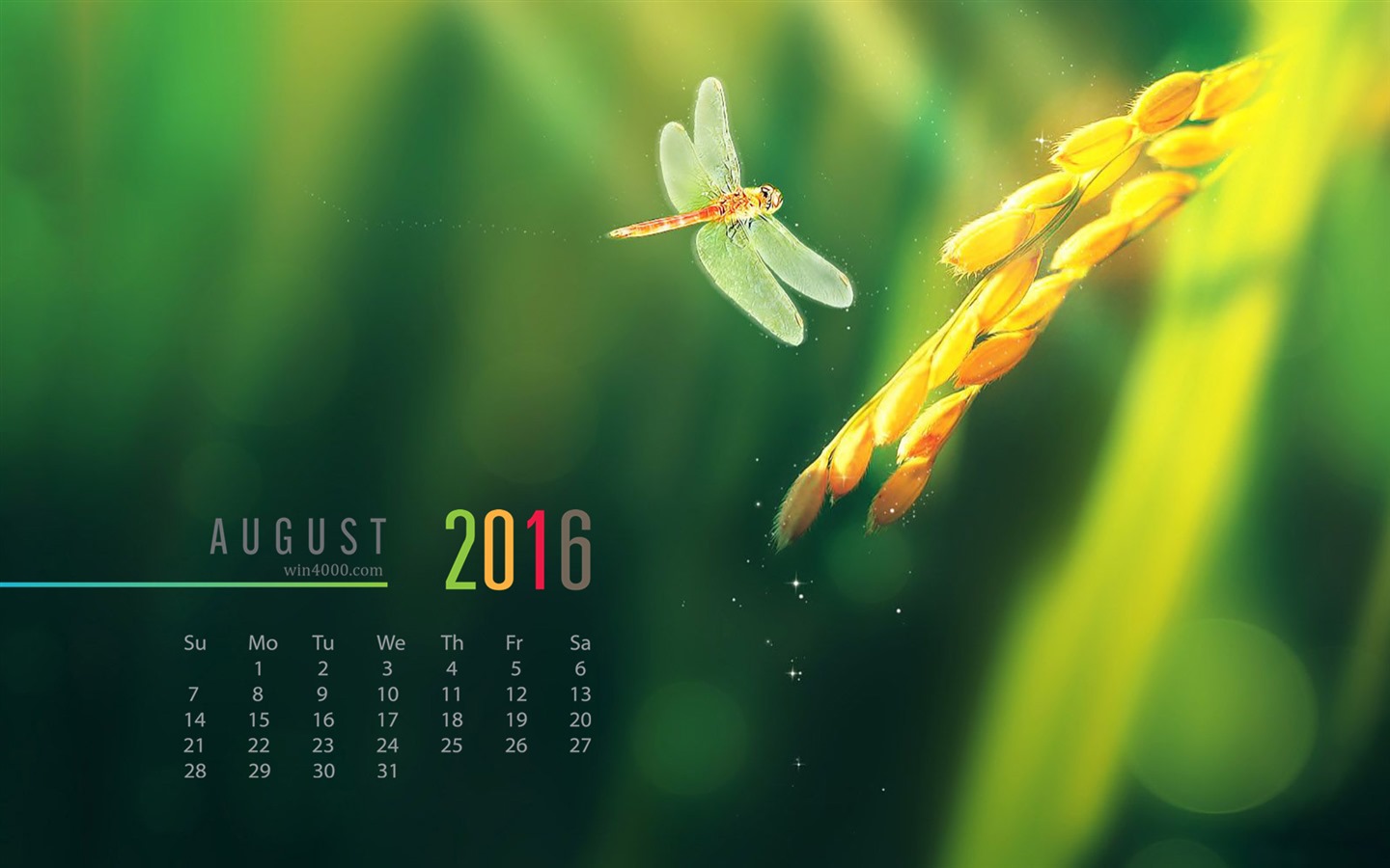 De agosto de el año 2016 fondo de pantalla de calendario (2) #2 - 1440x900