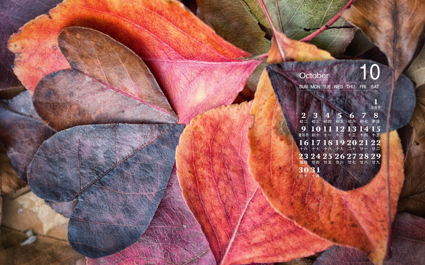 Octobre 2016 calendrier fond d'écran (1) #9 - 1440x900